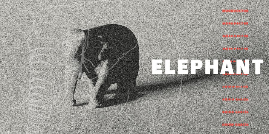 Elephant Ep – MoonDoctoR and Orión García